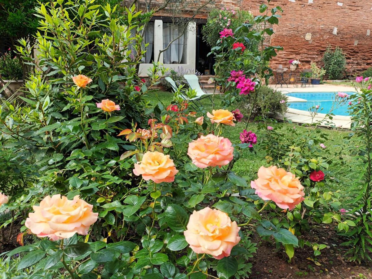 Bed and Breakfast L'Arche De Moissac Exterior foto